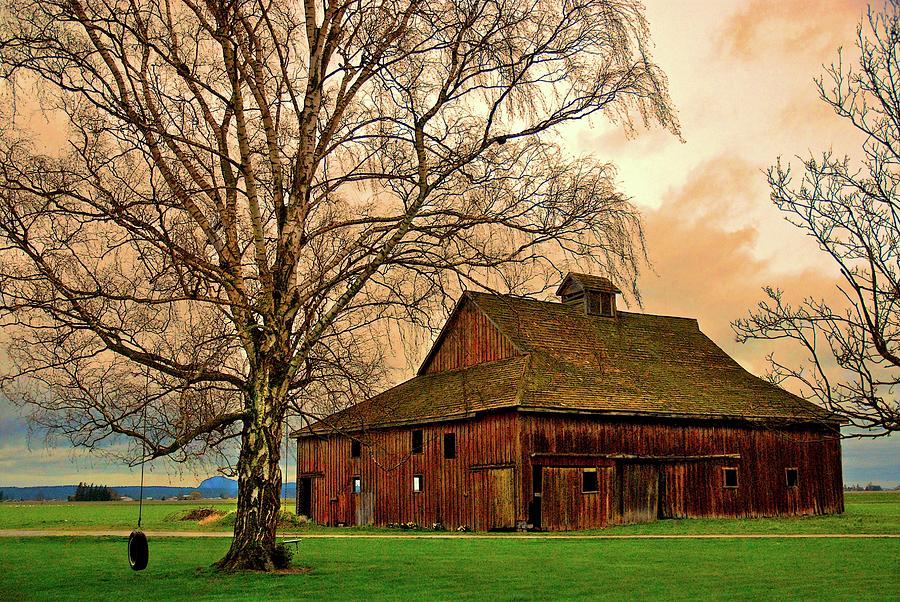 Old Barn In Skagit Valley Photograph by Craig Perry-Ollila