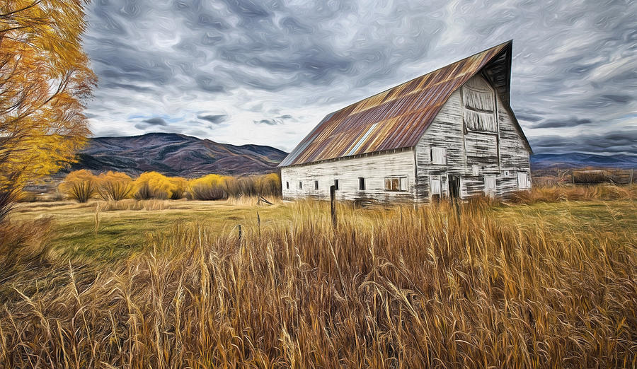 Old Barn In Steamboat,co Photograph by James Steele