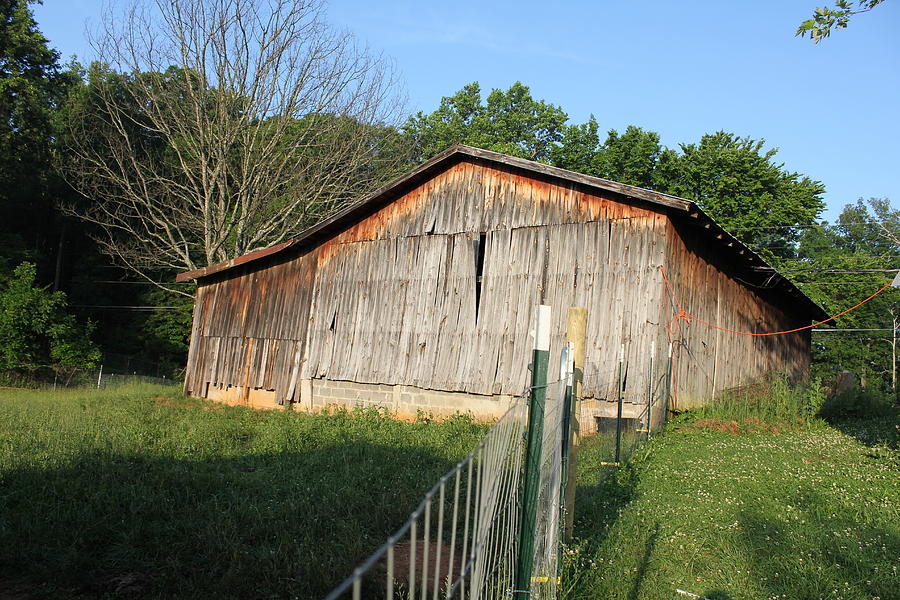 Old Barn Photograph - Old barn in Tennessee by Rachael Bliss
