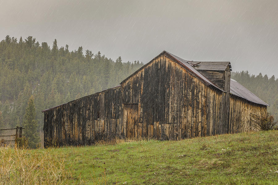 Old Barn in the Rain Photograph by Teresa Wilson