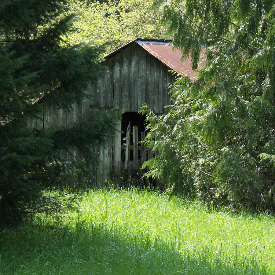 Old Barn In The Woods Photograph By Hw Kateley Fine Art America