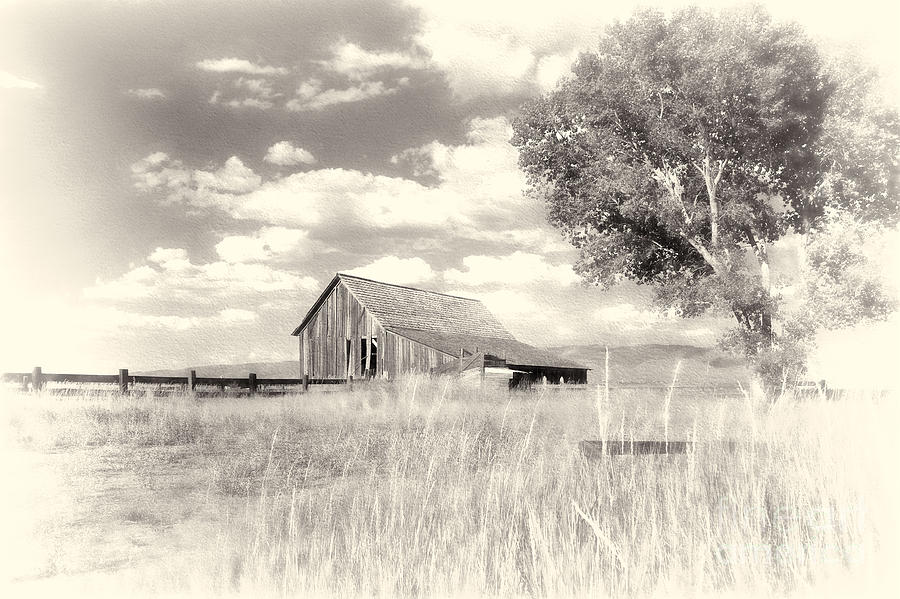 Old Barn in Washoe Photograph by Dianne Phelps