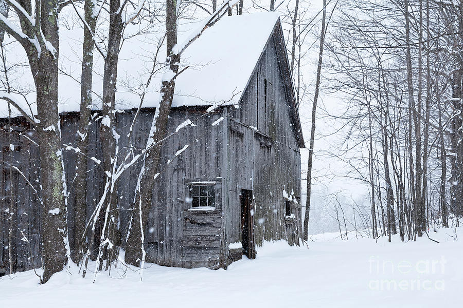 Old Barn In Winter Photograph by Alan L Graham