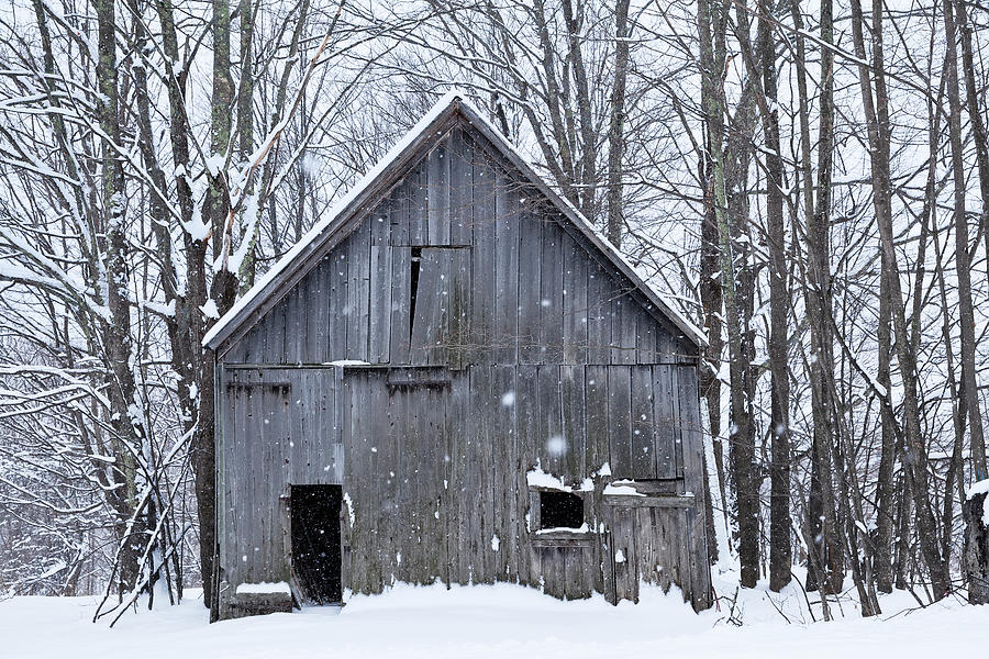 Old Barn In Winter Woods Photograph by Alan L Graham