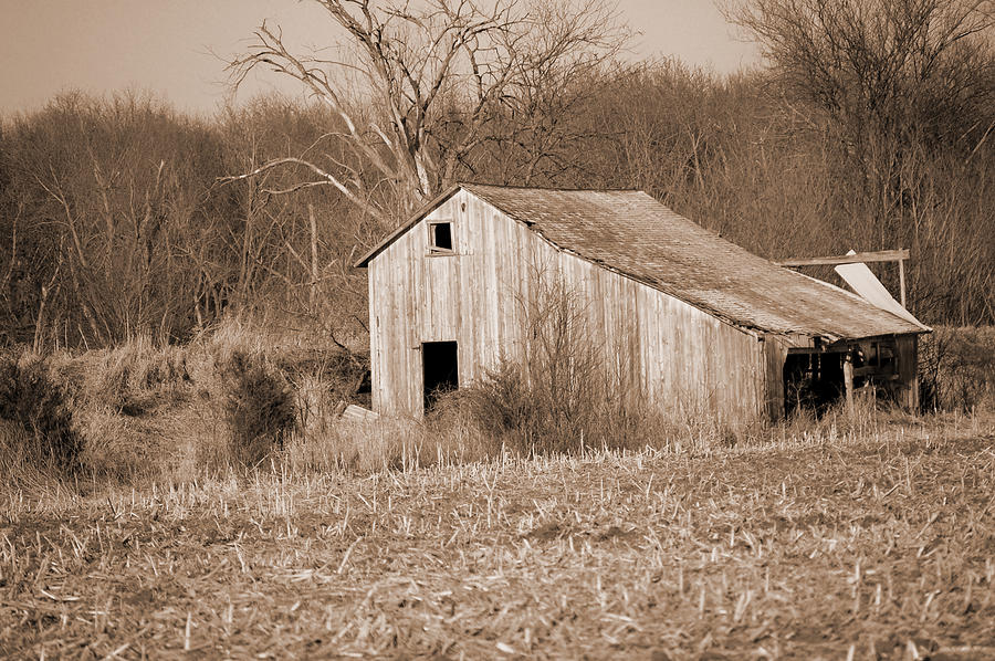 Old Barn Photograph by Jame Hayes