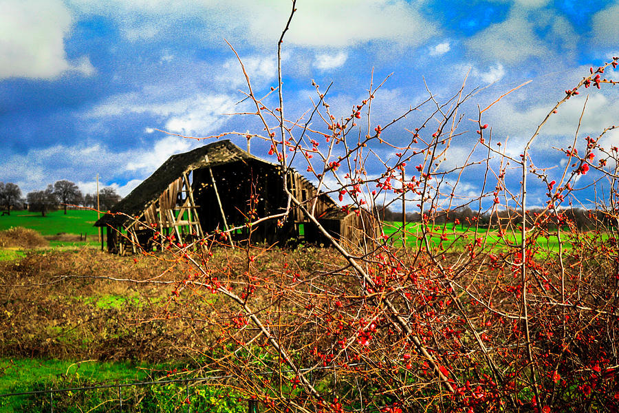Old Barn Photograph by Dr Janine Williams