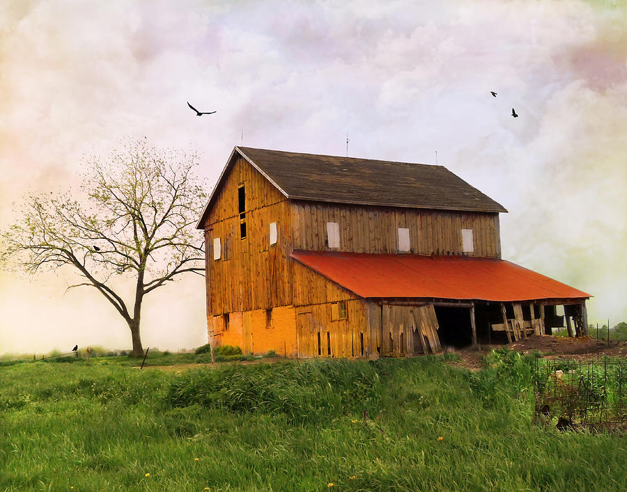 Old Barn Photograph by Karen Castillo