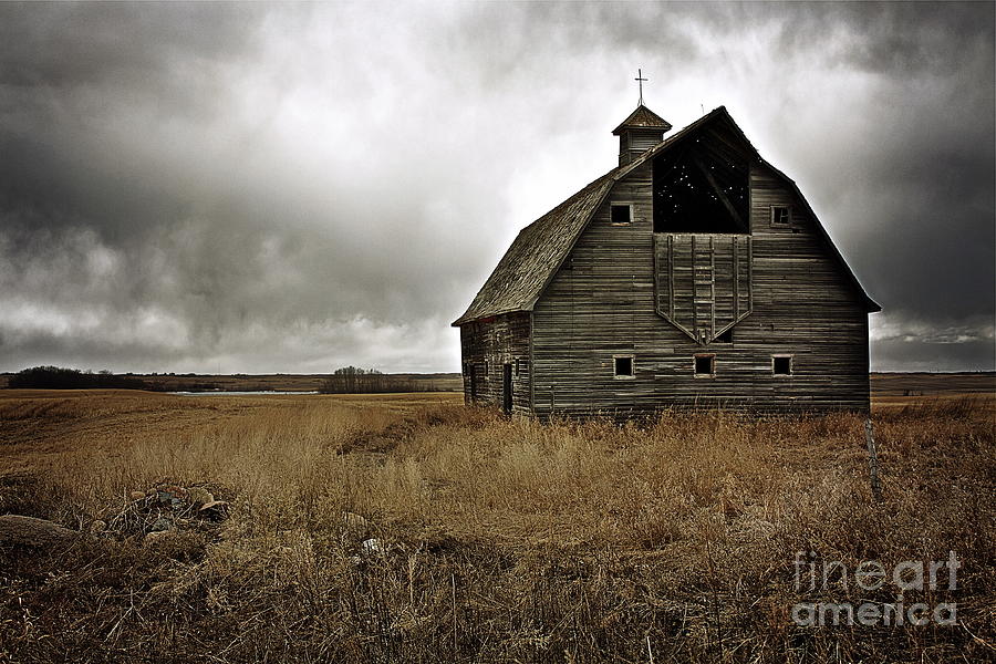Old Barn Photograph by Linda Bianic