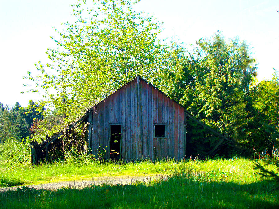 Old Barn Photograph by Lisa Rose Musselwhite