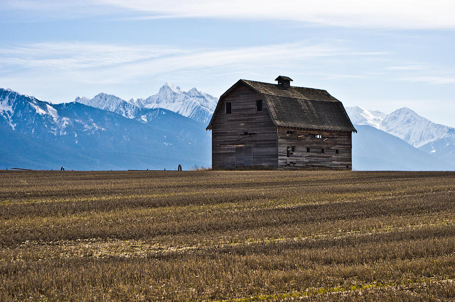 Old Barn, Mission Mountains 2 Photograph by Jedediah Hohf