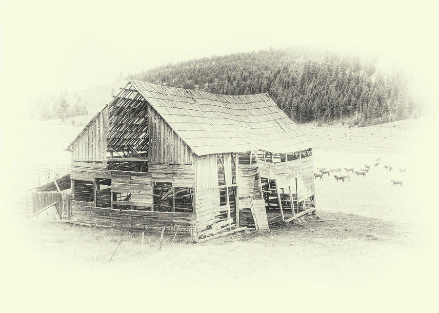 Old Barn Near Wauconda Photograph by Doug Matthews