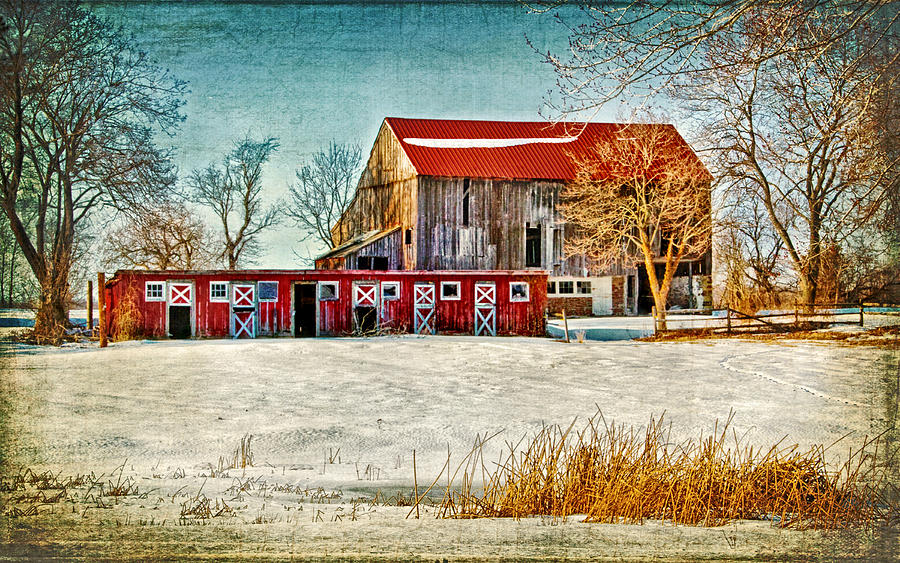 Old Barn on Forrest Road Photograph by Carolyn Derstine
