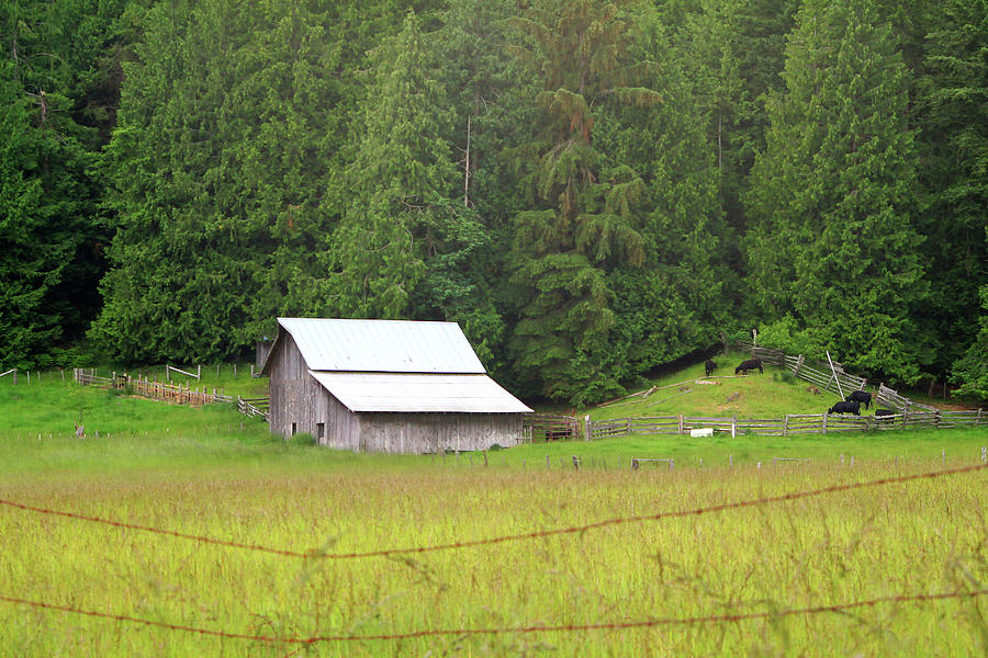 Old Barn on Orcas Island Photograph by Art Block Collections