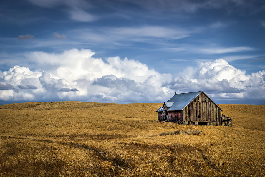 Old Barn on the Palouse Photograph by Brad Stinson