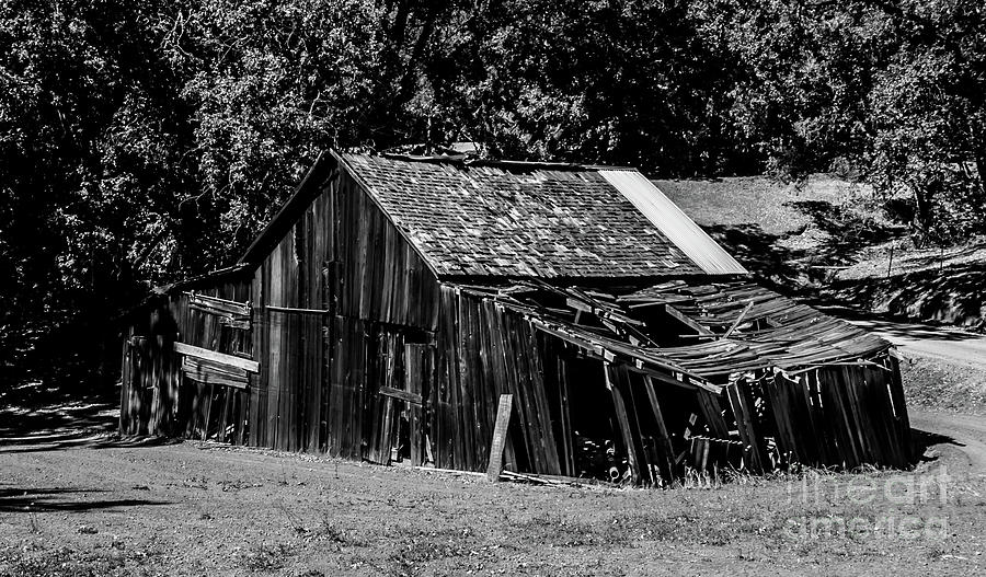 Old Barn River Road Sonoma County Black and White Photograph by Blake Webster