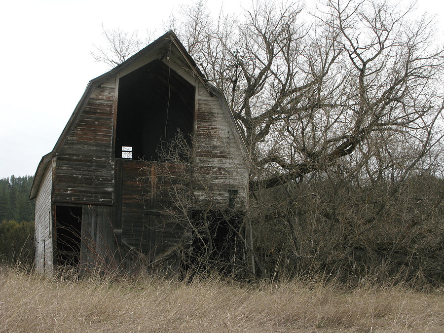 Old Barn Photograph by Robert Bissett