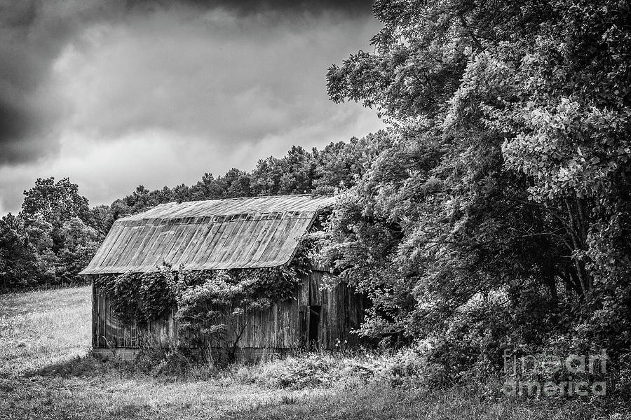 Old barn Photograph by Rodney Cammauf
