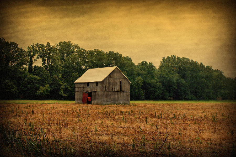 Old Barn Photograph by Sandy Keeton