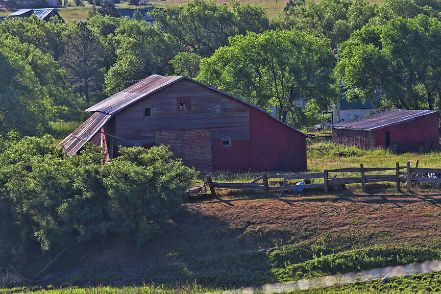 Old Barn Summer Day Photograph by Alana Thrower