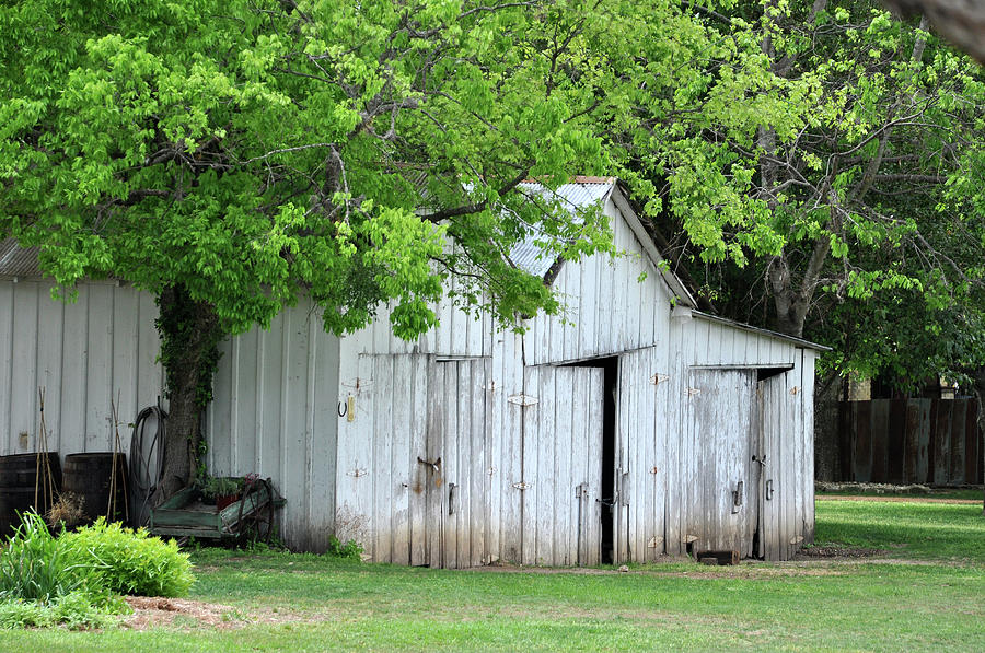Old Barn Photograph by Teresa Blanton