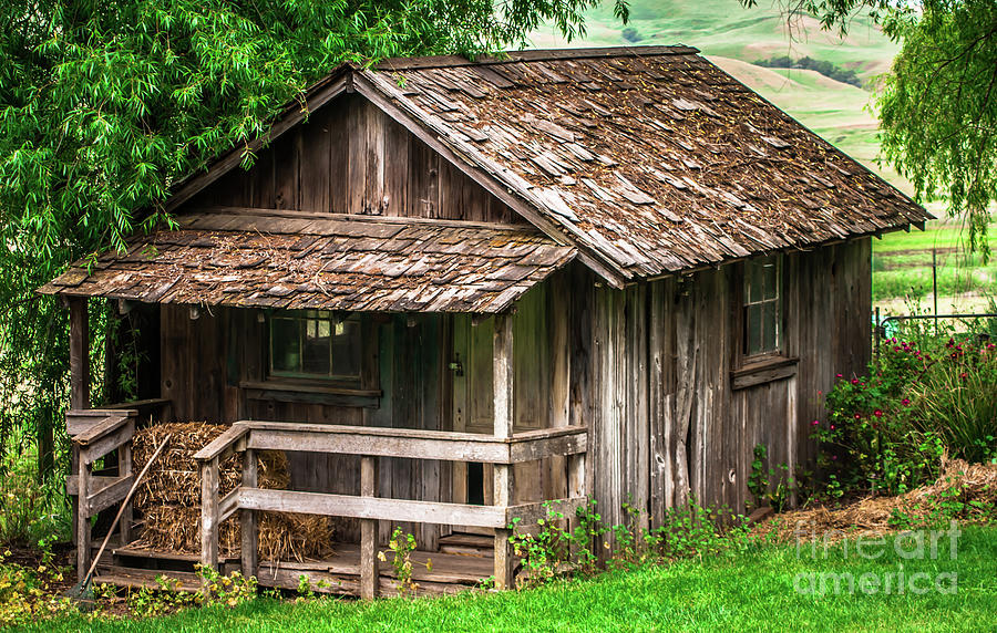 Old Cabin Tolay Ranch Sonoma County Photograph by Blake Webster