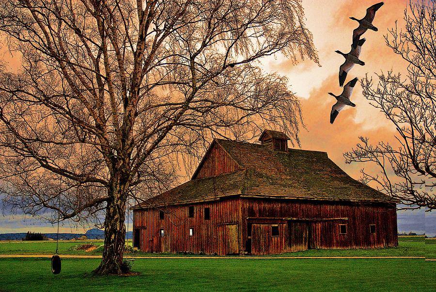 Old Barn With Geese Photograph by Craig Perry-Ollila