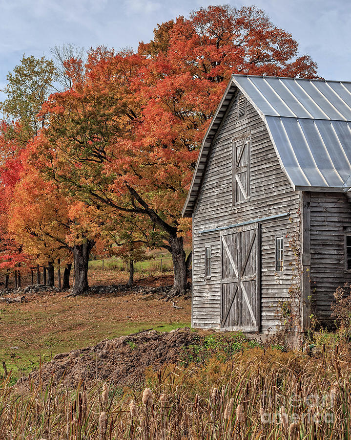 Old Barn with New England Foliage Photograph by Edward Fielding