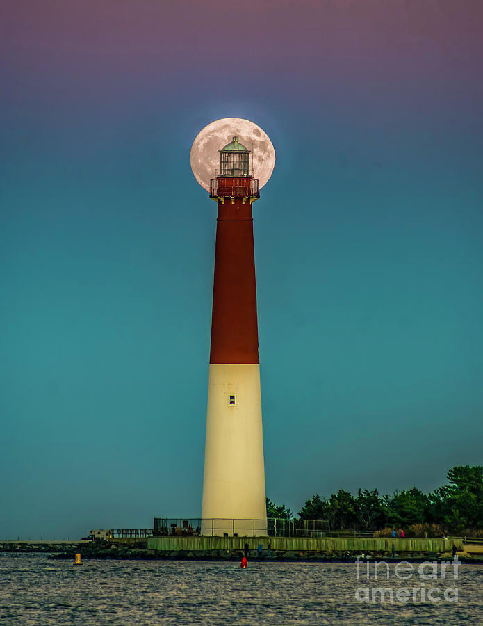 Old Barney and the Moon Photograph by Nick Zelinsky Jr