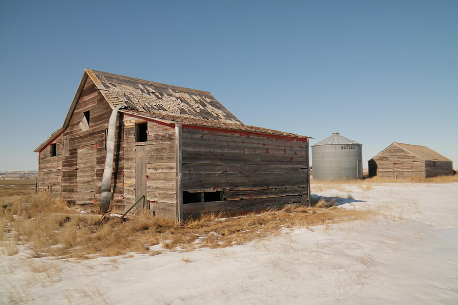 Old Barns And A Grain Bin Photograph