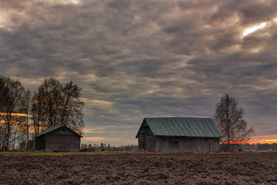Barn Photograph - Old Barns In The Spring Sunset by Jukka Heinovirta