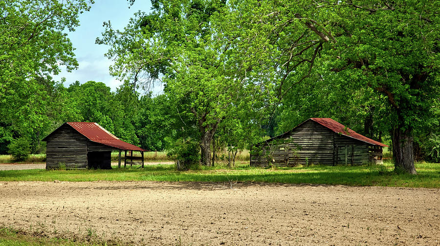 Old Barns In The Woods Photograph By Mountain Dreams