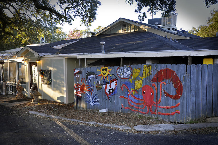 Old Bay Steamer Photograph by David Dittmann Fine Art America