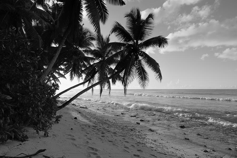 Old Beach Photograph by Michael Scott - Fine Art America