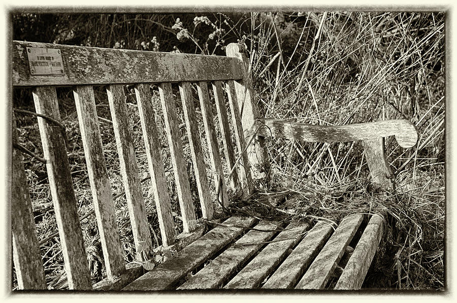 Old Bench Photograph by Leah Palmer