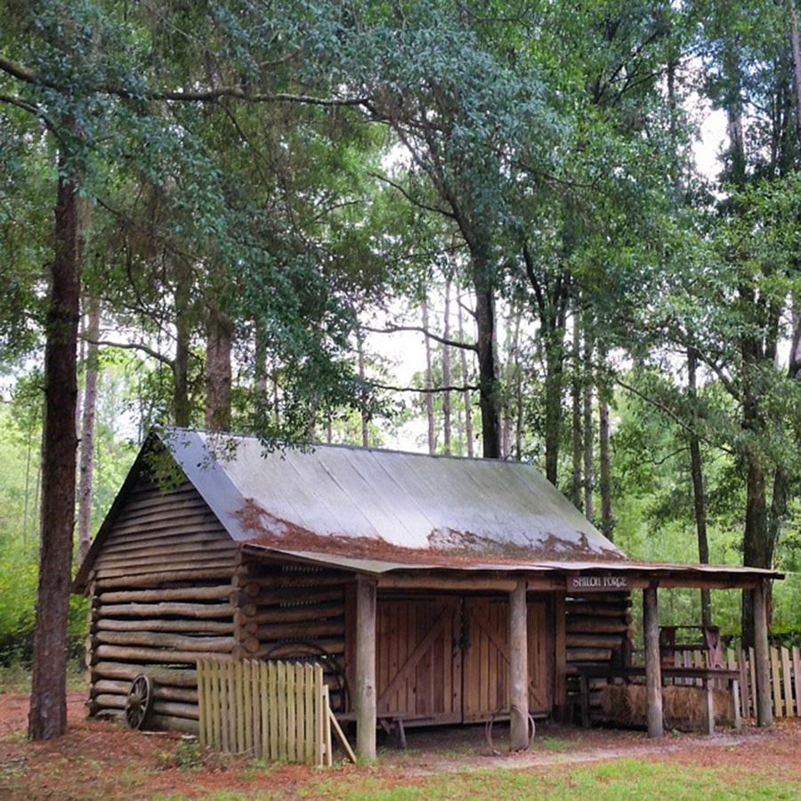 Gainesville Photograph - Old Blacksmith Shop At The Living by Karen Breeze