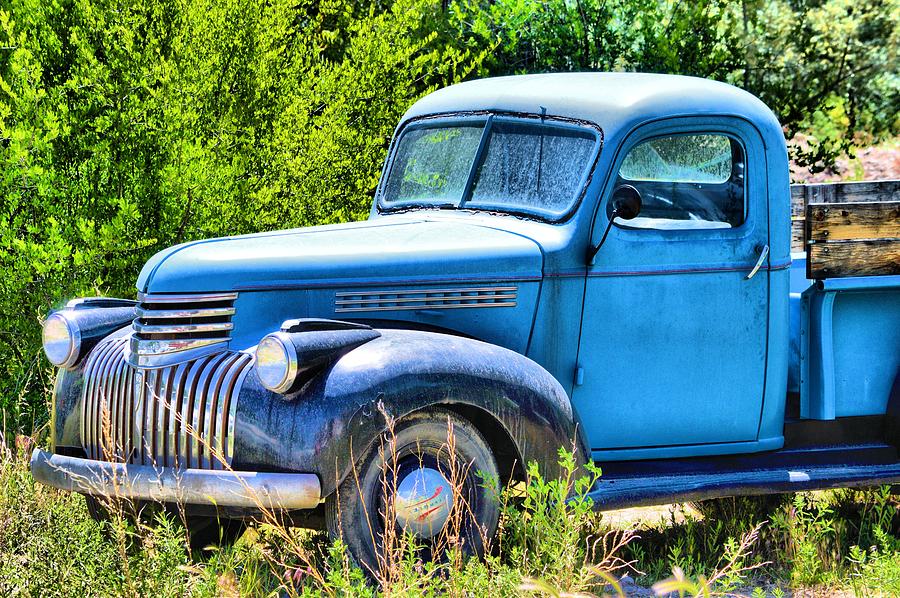 Old Blue at Pasture Photograph by Jacqui Binford-Bell