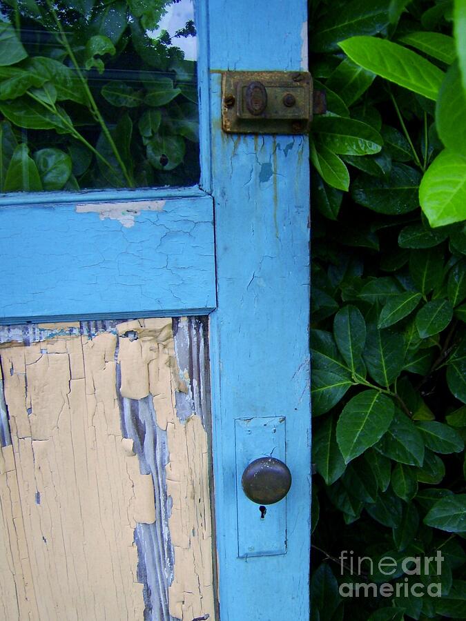 Old Blue Door Photograph by Patricia Strand