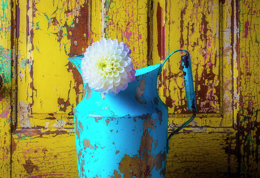 Old Blue Pitcher And Dahlia Photograph by Garry Gay