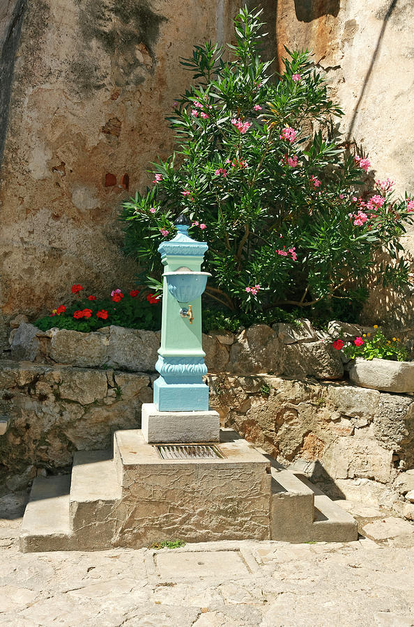 Old Blue Water Fountain Photograph by Sally Weigand