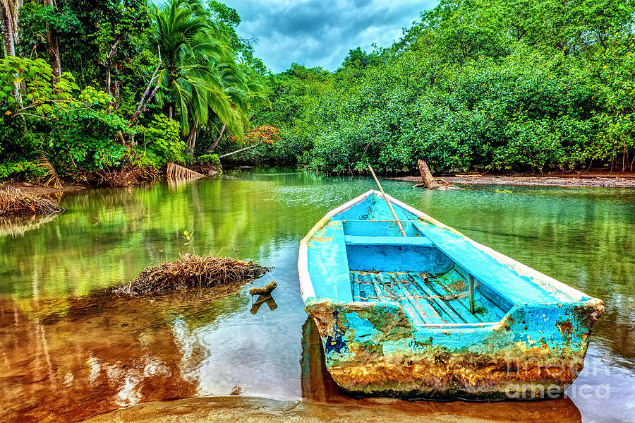 Old boat in tropical river Photograph by Anna Om