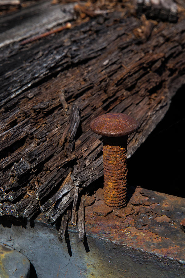 Old Bolt Photograph by Karol Livote