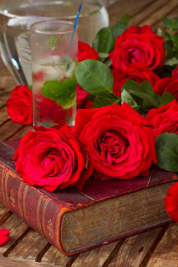 Old Book with Roses Photograph by Anastasy Yarmolovich