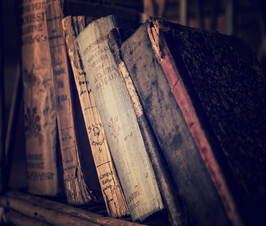Old Books 2 Photograph by Marianna Mills