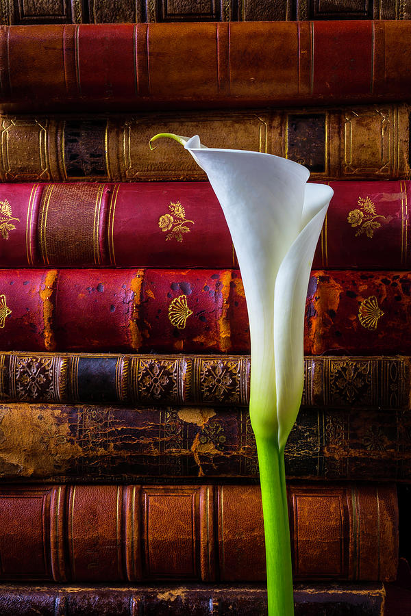 Old Books And Calla Lily Photograph by Garry Gay