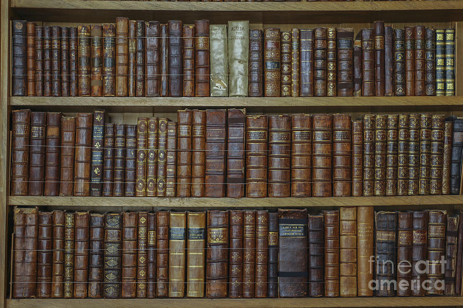 Old books Photograph by Patricia Hofmeester