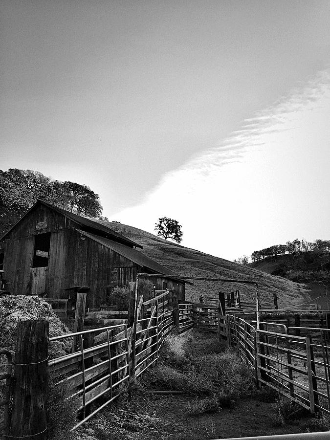 Old Borges Ranch Photograph by Brad Hodges