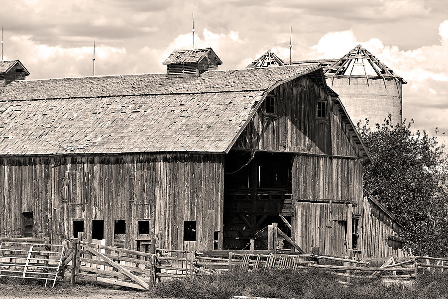 Old Boulder County Colorado Barn Photograph by James BO Insogna