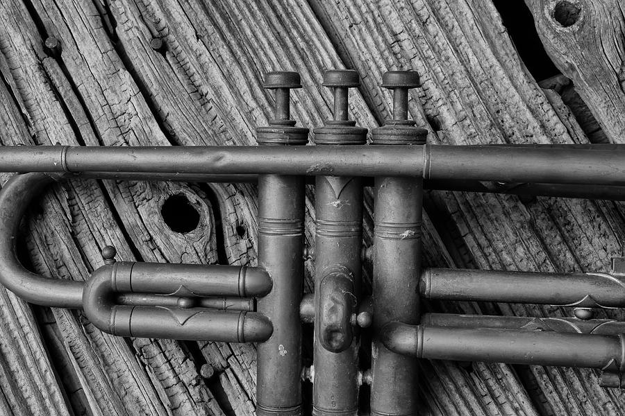 Old Brass Trumpet Photograph by Garry Gay
