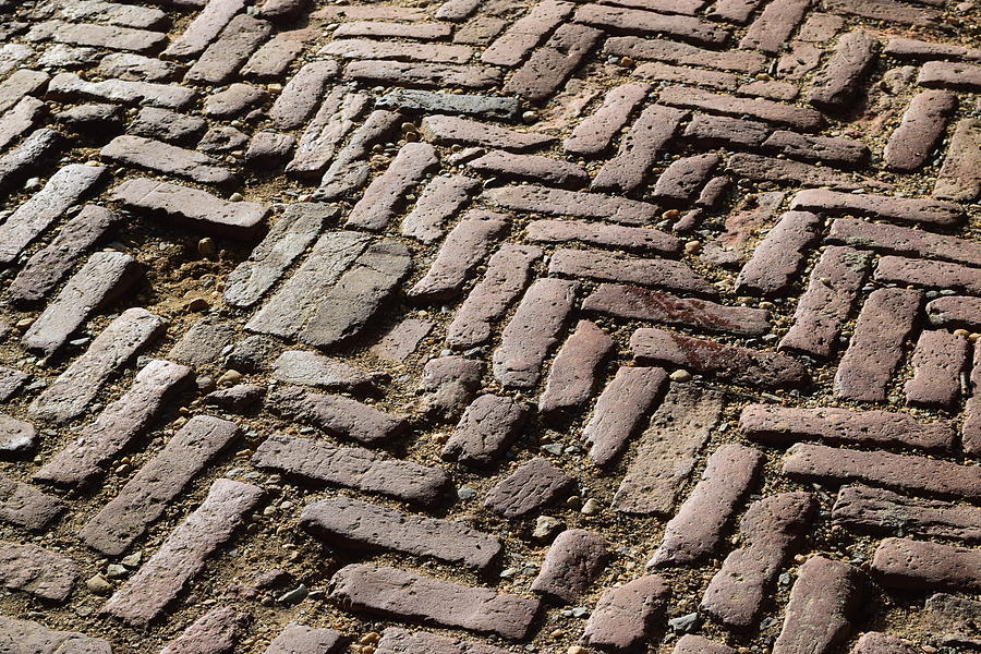 Old Brick Road Photograph by Curtis Krusie