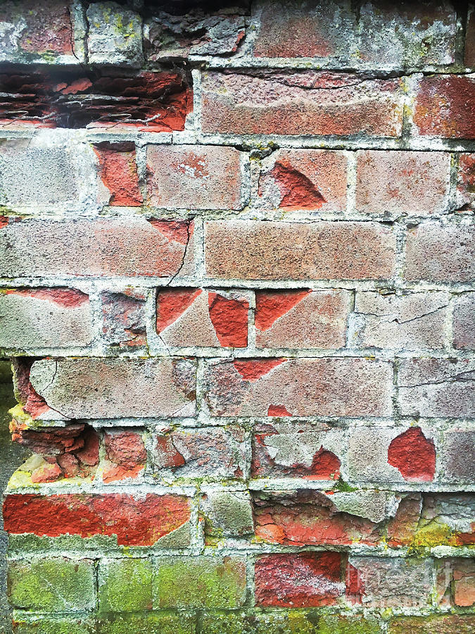 Vintage Photograph - Old brick wall by Tom Gowanlock